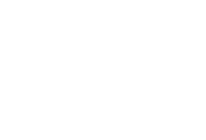 ახალი აიქონი