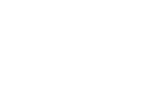 თეთრი აიქონები-10