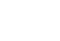 თეთრი აიქონები-11