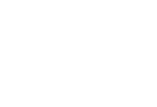 თეთრი აიქონები-12