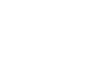 თეთრი აიქონები-14