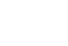 თეთრი აიქონები-15